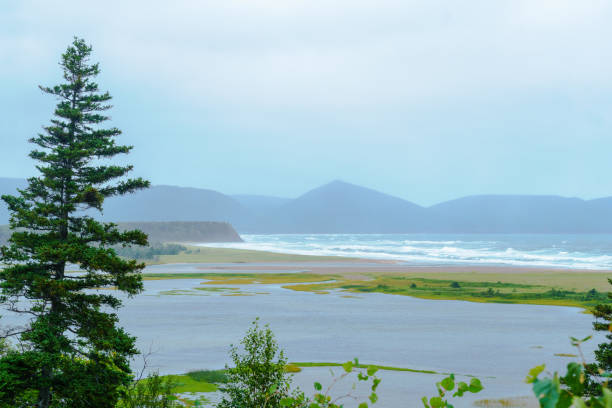 ponto branco, cape breton - nova scotia extreme terrain cape breton island landscape - fotografias e filmes do acervo