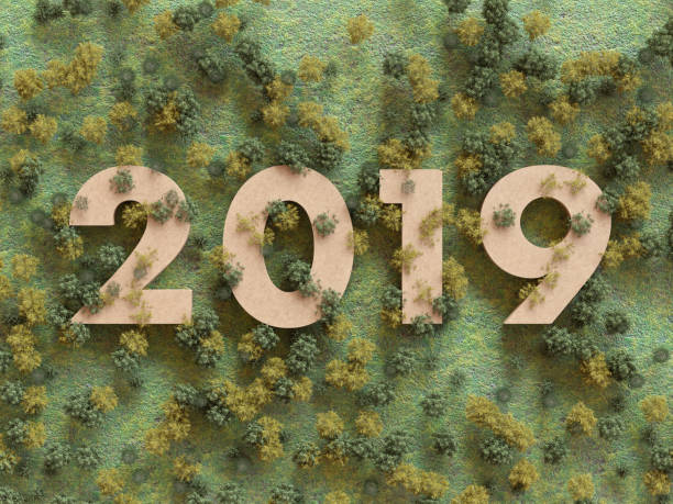 istock 2019 in the woods, 3D rendering 1160064091