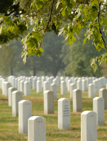 gravesites at Arlington National Cemetary