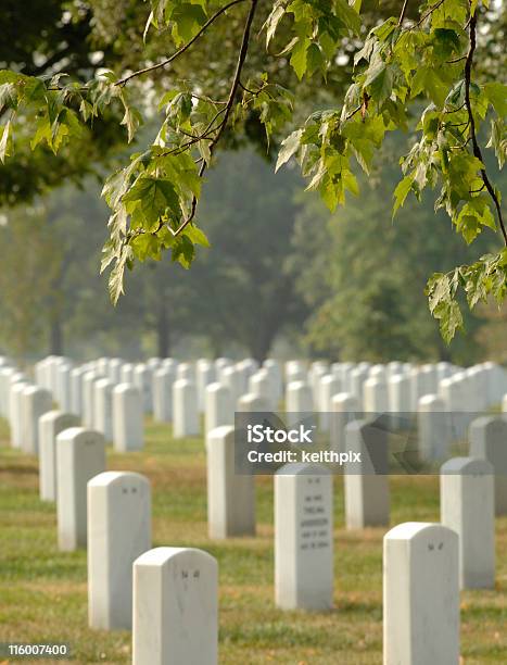 Foto de Arlington e mais fotos de stock de Cemitério Nacional de Arlington - Cemitério Nacional de Arlington, Arlington - Virgínia, Cemitério
