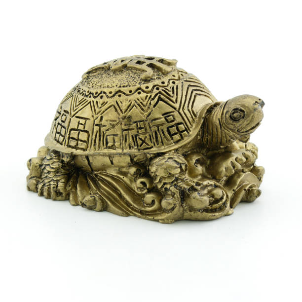 Golden turtles isolated on white background