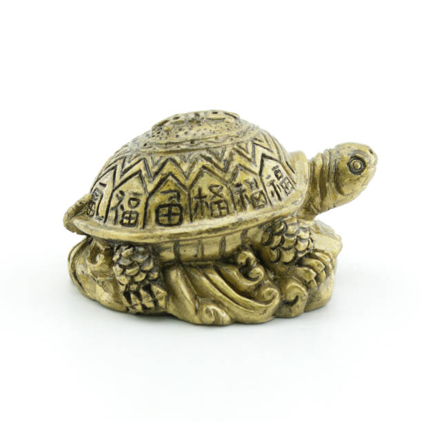 istock Golden turtles isolated on white background 1160075243