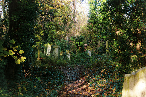 Old and abandoned monuments and graves in Abney Park Cemetery in Autumn. The Cemetery is one of London's magnificent seven graveyards and is now a unique urban wilderness & inner city nature reserve