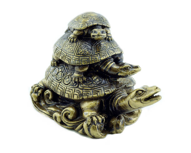 istock Golden turtles isolated on white background 1160078241