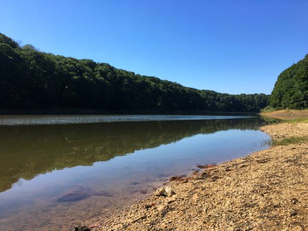 istock Lake inside Belgrad Forest in Istanbul city. 1160079883
