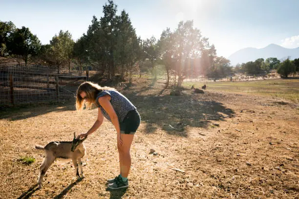 Blond teenage girl pets a goat on a farm, Salida, Colorado, USA