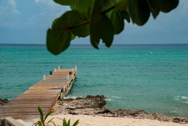 isla gran caimán - cayman islands fotografías e imágenes de stock