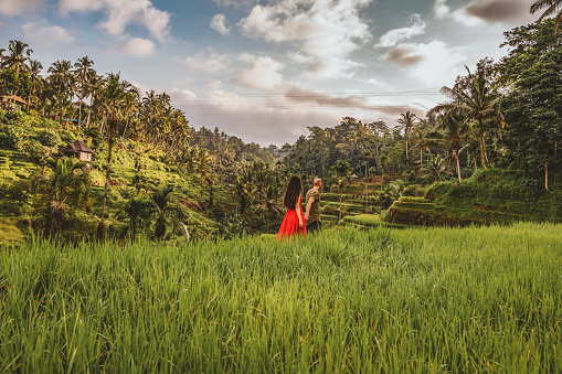 Photo of Young beautiful woman and woman walking and falling in love on the traditional rice terraces in Tegallalang, Ubud, Bali. She is wearing a red dress and holding the hand of her boyfriend.