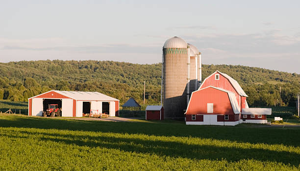 istock Summer Evening on the Farm 116008717