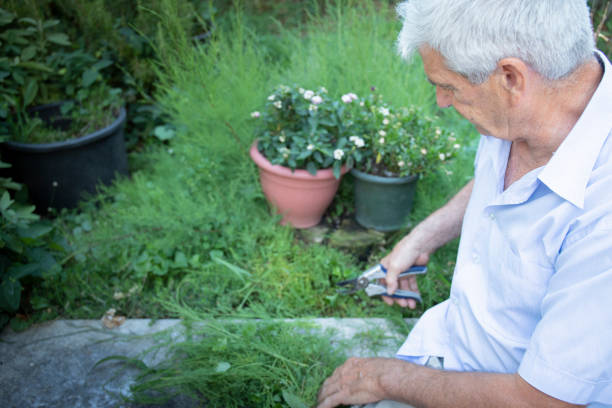istock Mature man gardening with a shear 1160087671