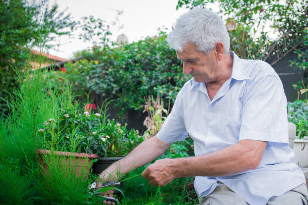 istock Mature man gardening with a shear 1160087826
