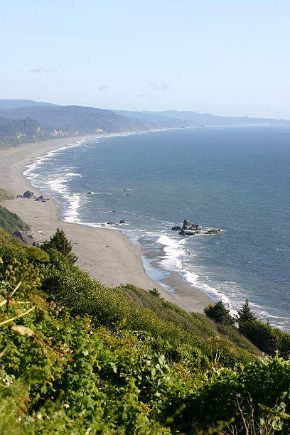 istock Northern California Coast 116008920