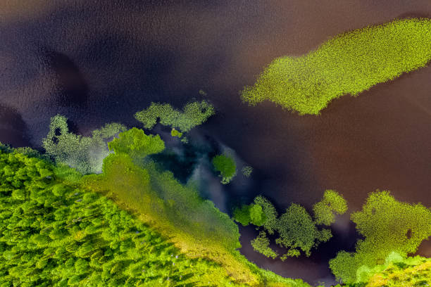 istock Finland Landscapes from above 1160089595