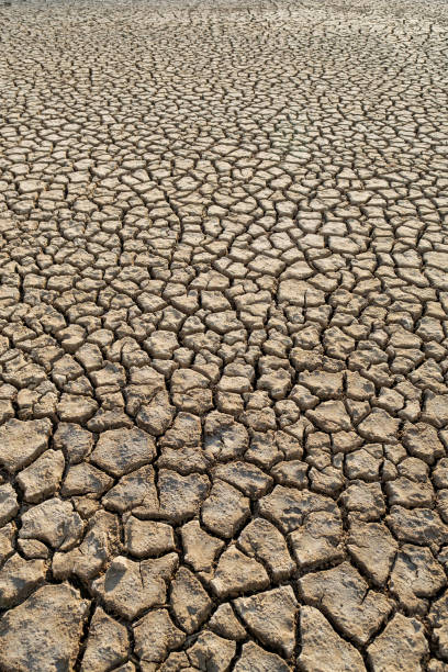 istock Desert heat dirt clay global warming texture pattern top view 1160092758