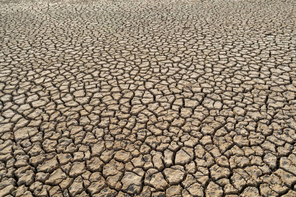 istock Desert heat dirt clay global warming texture pattern top view 1160092794