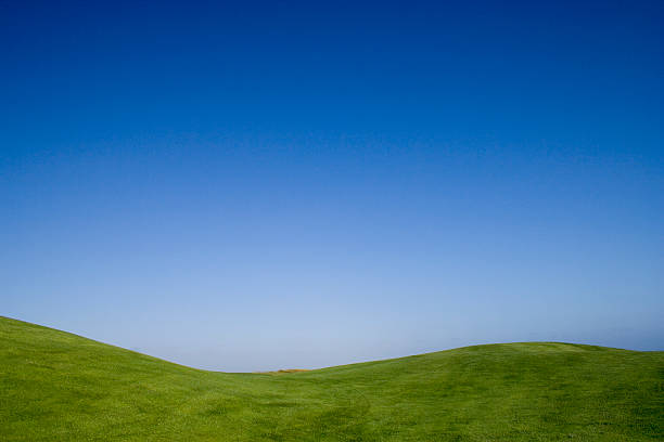 istock Beauty in nature 116009457