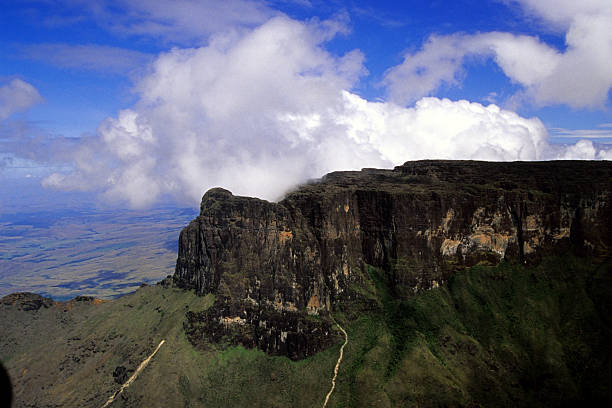 Roraima Mount in the Amazon The Monte Roraima is located on the north of the state of the same name, near the frontier of two countries: Venezuela and Guiana. mount roraima south america stock pictures, royalty-free photos & images