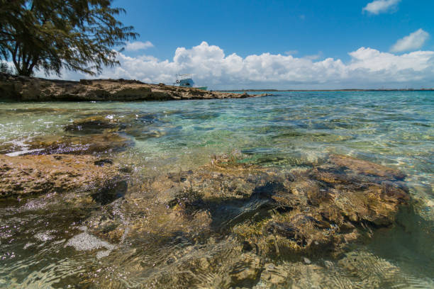 istock Idyllic Caribbean Beach With Turquoise Water 1160098741