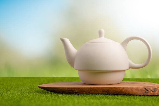 istock Ceramic white teapot on green grass on bright background. Tea time, tea drinking 1160101427