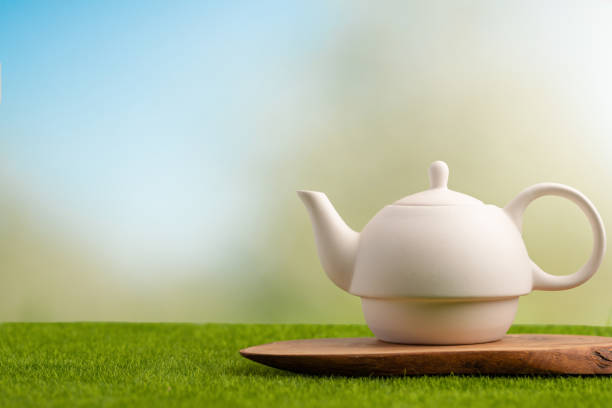 istock Ceramic white teapot on green grass on bright background. Tea time, tea drinking 1160101439