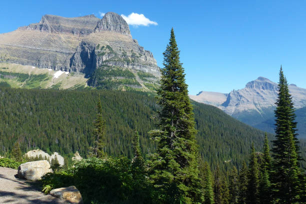 istock Logan Pass in Glacier National Park 1160104884