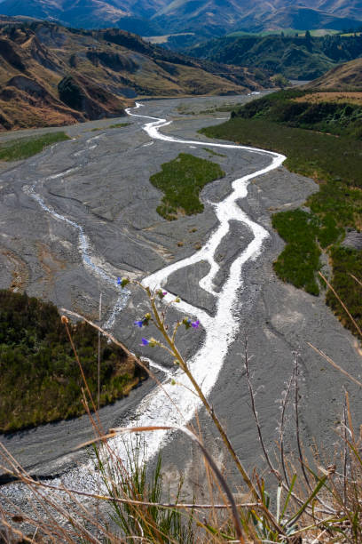 istock New Zealands South Island 1160106271