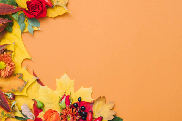 istock country fair invitation fall colorful background 1160109254