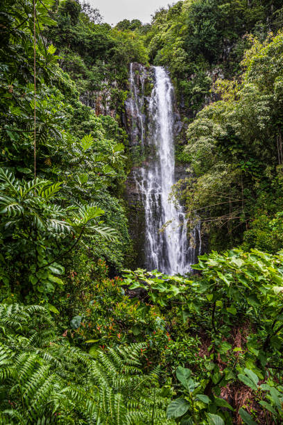 Wailua Falls, Hana, Maui The Wailua Falls, while driving on the Hana Hwy, Maui, Hawaii hana coast stock pictures, royalty-free photos & images