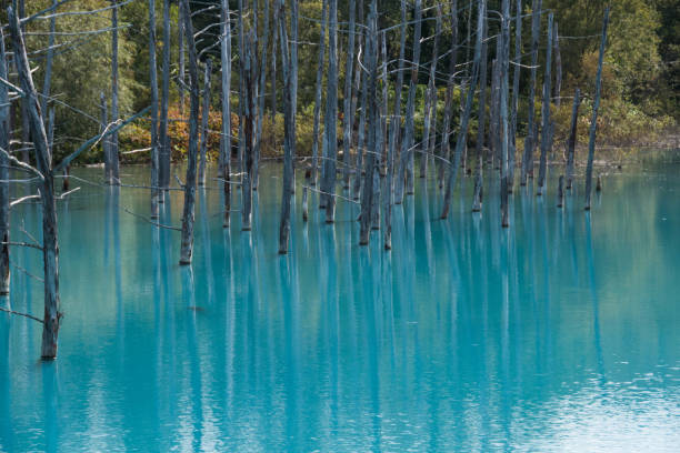 istock Summer blue pond in Biei 1160110824