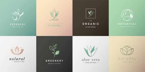 Set of natural and organic logo in modern design. Natural logo for branding, corporate identity, packaging and business card. Set of natural and organic logo in modern design. Natural logo for branding, corporate identity, packaging and business card. leaf logo stock illustrations