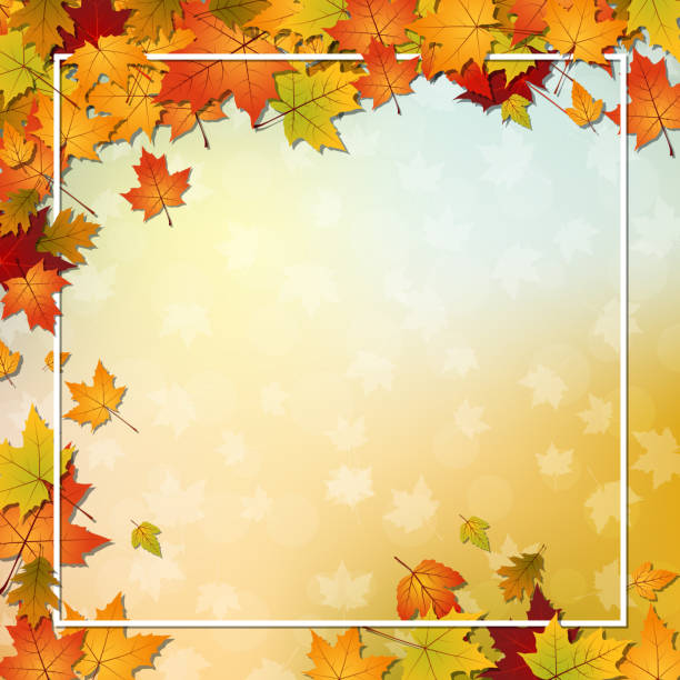 ilustrações, clipart, desenhos animados e ícones de fundo do vetor do estilo do outono com folhas coloridas - autumn leaf falling frame