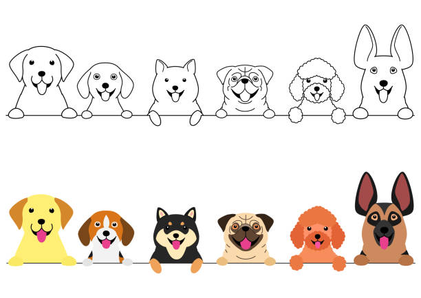 lächelnd große und kleine hunde grenzset - color image retriever illustration technique horizontal stock-grafiken, -clipart, -cartoons und -symbole