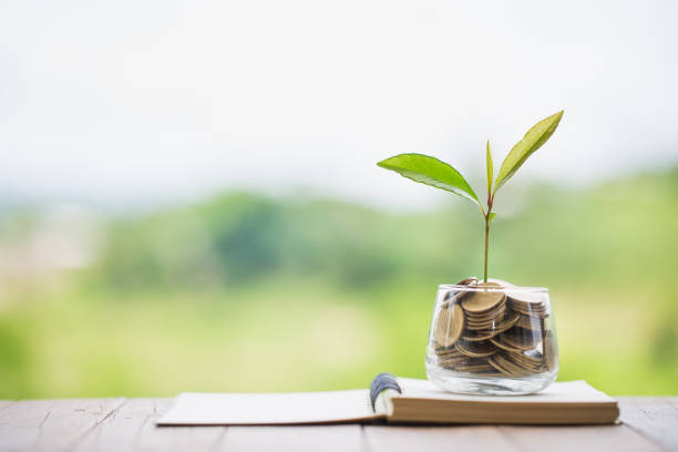 istock Green tree growing on money coins, ,saving, growth, sustainable development, economic concept 1160122068