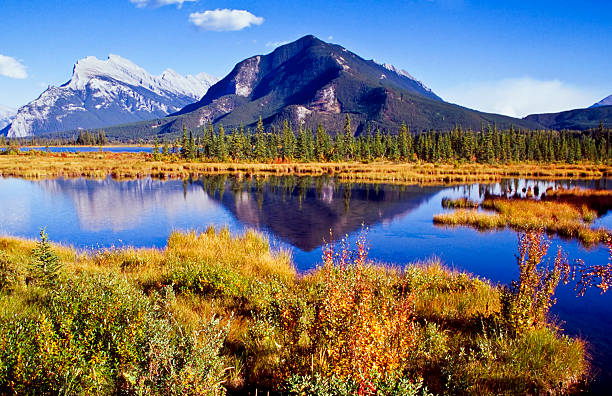 istock Scenic view of Vermillion lakes with mountain as backdrop 116012317