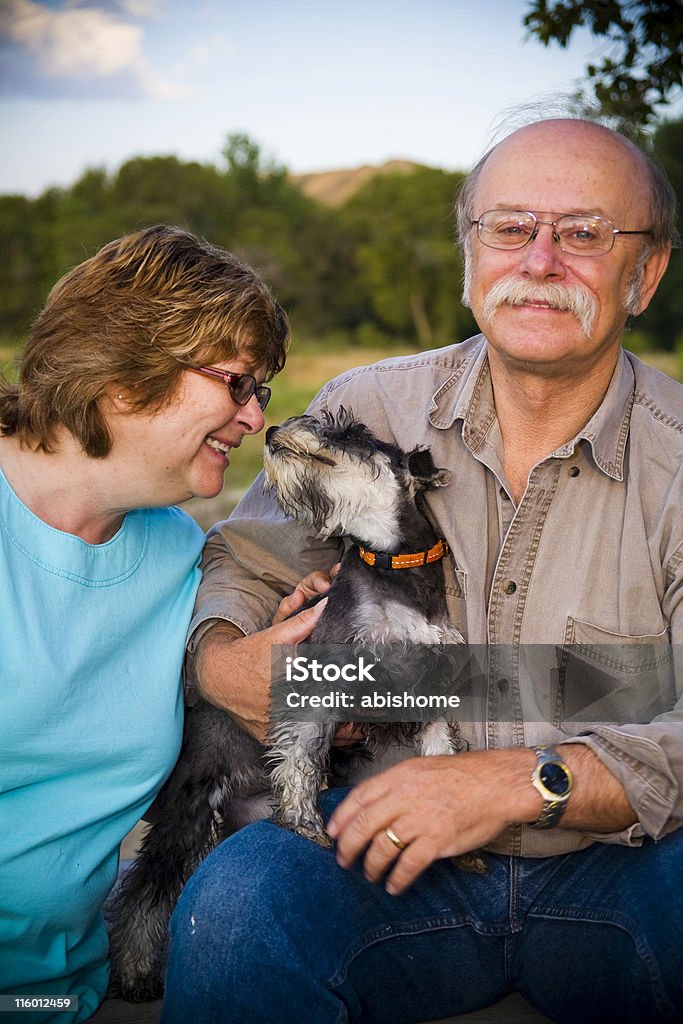 Amore di cucciolo - Foto stock royalty-free di Cane