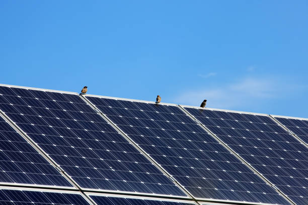 istock Solar photovoltaic power generation system, 1160125160