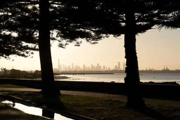 Early morning cityscape of Melbourne across Port Phillip bay and under the shade of trees.