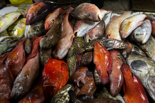 istock Fish for sale in Puerto Princesa, Palawan 1160126115