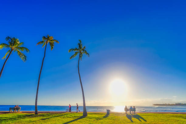istock Beautiful Paradise sunset at Ala moana beach park in Hawaii 1160128513