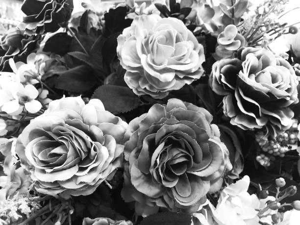 istock Fake rose flower black and white color for background. 1160129505