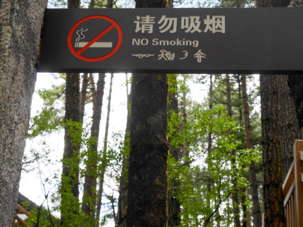 istock No smoking sign in the park 1160129532