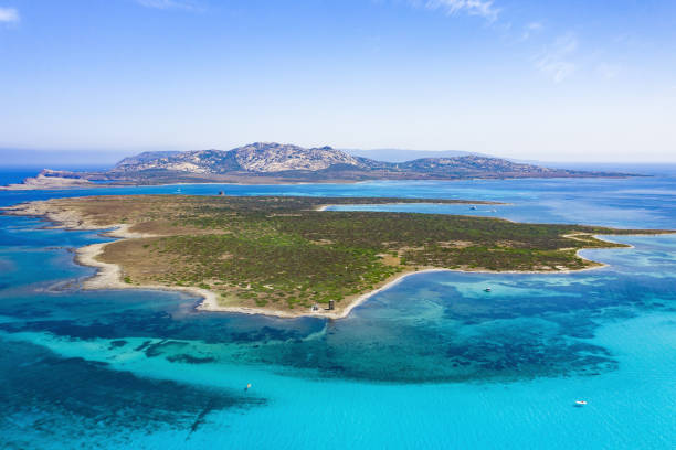 View from above, stunning aerial view of the Isola Piana island and the Asinara island bathed by a beautiful turquoise clear water. Stintino, Sardinia, Italy. View from above, stunning aerial view of the Isola Piana island and the Asinara island bathed by a beautiful turquoise clear water. Stintino, Sardinia, Italy. marine reserve photos stock pictures, royalty-free photos & images