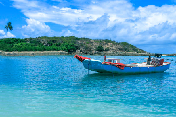 istock The Island of Santo Aleixo 1160137201