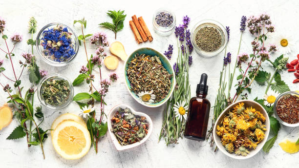 istock Various kinds of herbal tea. 1160140293