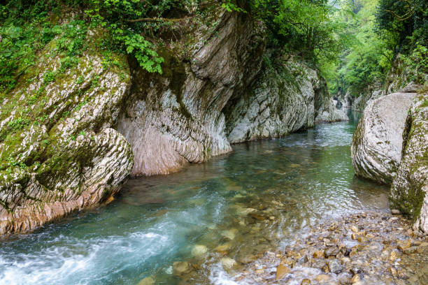 istock Mountain river in a stone gorge with a green forest on the slopes. 1160142547