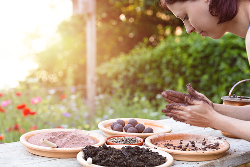 woman is manufacturing seed balls or seed bombs on a wooden table, flower field in the background