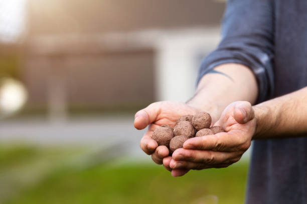 istock man is holding and throwing seed balls or seed bombs in front of a ugly grey building, concept guerilla gardening 1160147357