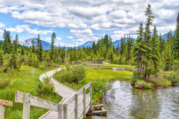 istock Policemans Creek Boardwalk in Canmore, Alberta, Canada 1160147444