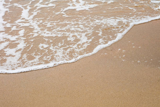 istock The sea and the white wave ripples on the empty sand beach 1160149207