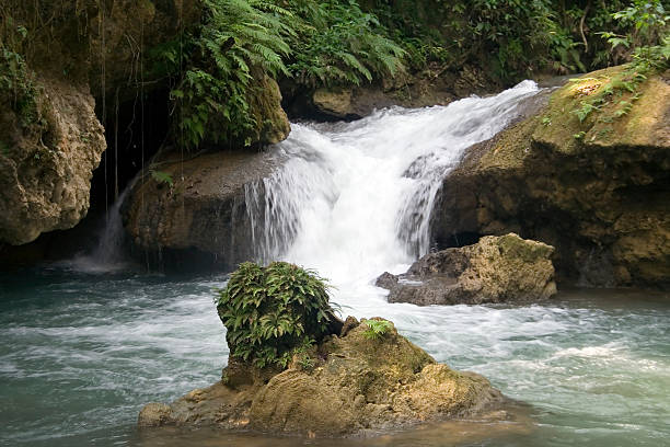 поднятие рук в положение y река водопад - waterfall tropical rainforest water jamaica стоковые фото и изображения